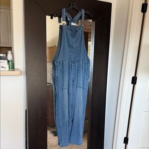 Time and Tru Light Blue Denim Overalls